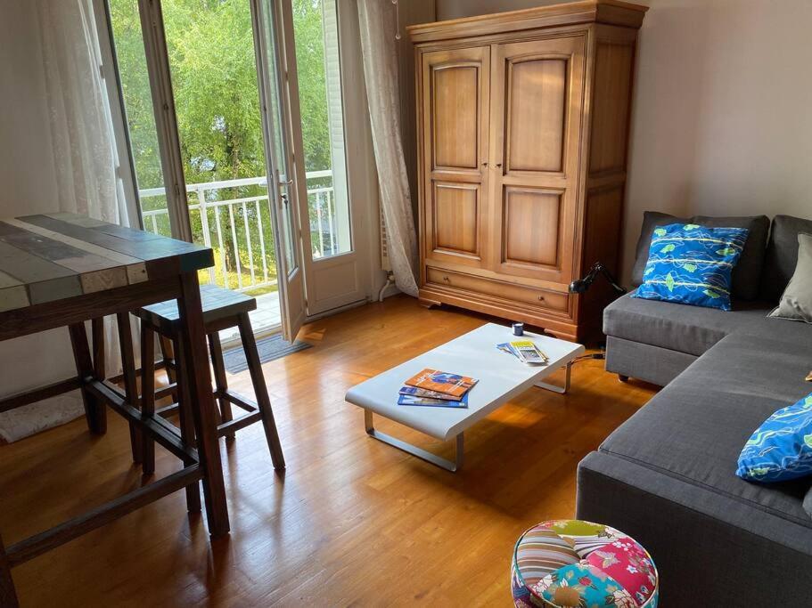 Appartement Lumineux Vue Montagne Centre Grenoble Pour Ski Ou Randonnees Eksteriør bilde